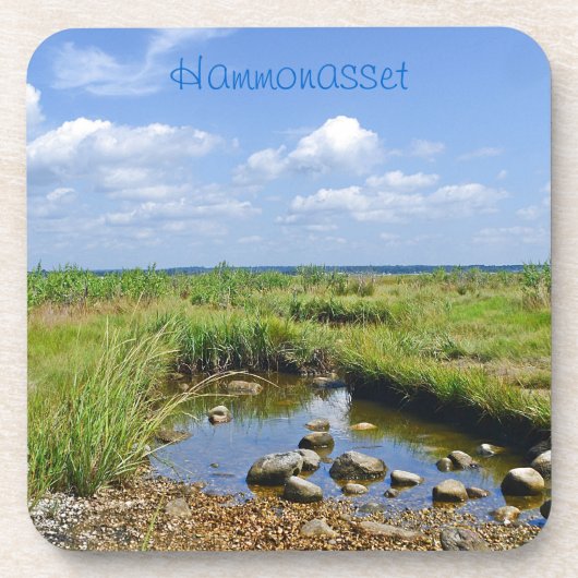 Dessous de verre Tidepool (Devant)