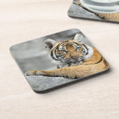 Dessous-de-verre Tiger016 (Côté gauche)