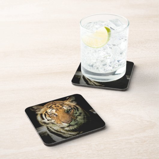 Dessous-de-verre tigre (Côté Droit)