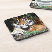 Dessous-de-verre Tigre appréciant l'ombre (Côté gauche)