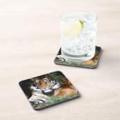 Dessous-de-verre Tigre appréciant l'ombre (Côté Droit)