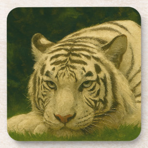 Dessous-de-verre Tigre blanc reposant dans l'ombre des bois