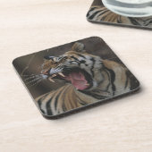 Dessous-de-verre Tigre CUB baîllant (Côté gauche)