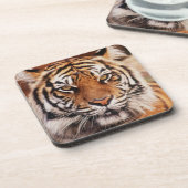 Dessous-de-verre Tigre de Sumatra (Côté gauche)