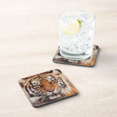 Dessous-de-verre Tigre de Sumatra (Côté Droit)