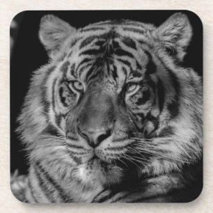 Dessous-de-verre Tigre noir et blanc