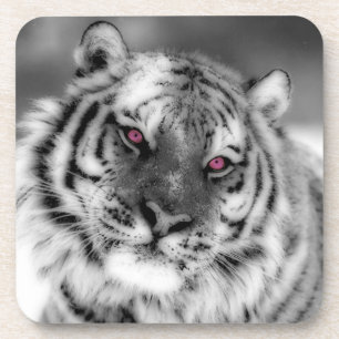 Dessous-de-verre Tigre observé par rose