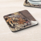 Dessous-de-verre Tigre sibérien (Côté gauche)