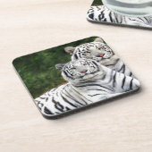 Dessous-de-verre Tigres blancs (Côté gauche)