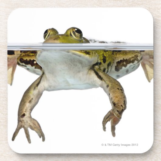 Dessous-de-verre Tiré d'une grenouille comestible apprêtant devant (Devant)