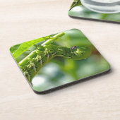 Dessous-de-verre Tomato (Côté gauche)