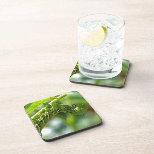 Dessous-de-verre Tomato (Côté Droit)