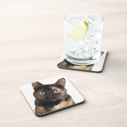 Dessous-de-verre Tortoiseshell (Côté Droit)