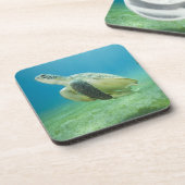 Dessous-de-verre Tortue (Côté gauche)