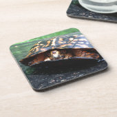 Dessous-de-verre Tortue (Côté gauche)