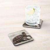 Dessous-de-verre Tortue-boîte commune (Côté Droit)