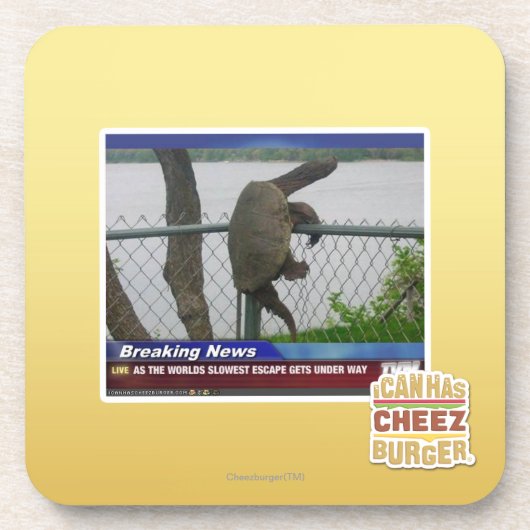 Dessous-de-verre Tortue d'Excaping (Devant)