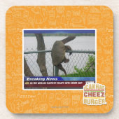 Dessous-de-verre Tortue d'Excaping (Devant)