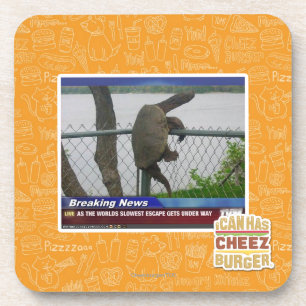 Dessous-de-verre Tortue d'Excaping