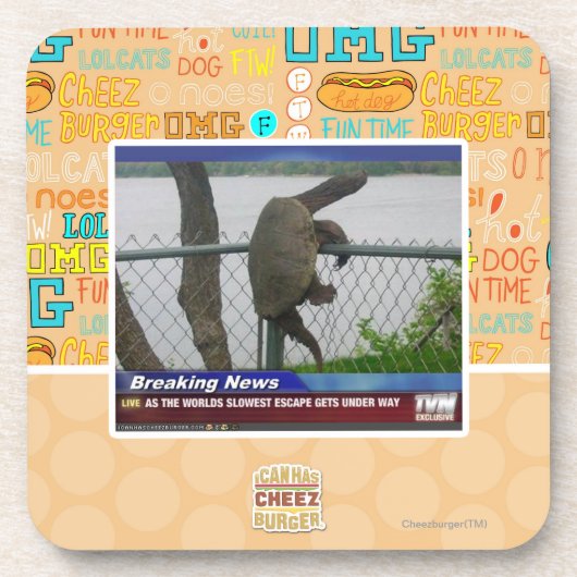 Dessous-de-verre Tortue d'Excaping (Devant)