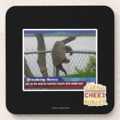 Dessous-de-verre Tortue d'Excaping (Devant)