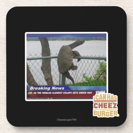 Dessous-de-verre Tortue d'Excaping (Devant)