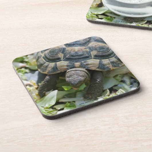 Dessous-de-verre Tortue mignonne (Côté gauche)