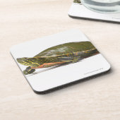 Dessous-de-verre Tortue peinte occidentale (bellii de picta de (Côté gauche)