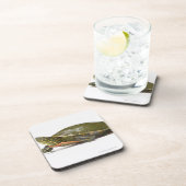 Dessous-de-verre Tortue peinte occidentale (bellii de picta de (Côté Droit)