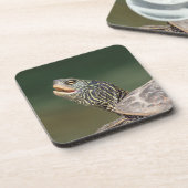 Dessous-de-verre Tortue sur La Chute (Côté gauche)