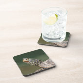 Dessous-de-verre Tortue sur La Chute (Côté Droit)