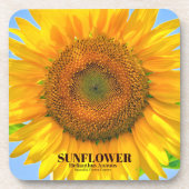 Dessous-de-verre tournesol (Devant)