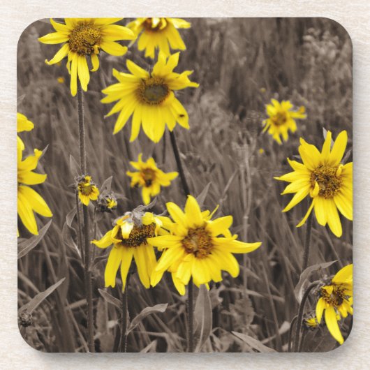 Dessous-de-verre Tournesol dans la Montagne Rocheuse (Devant)