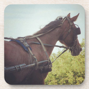 Dessous-de-verre Transport par cheval