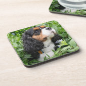 Dessous-de-verre Tri Couleur Cavalier King Charles Spaniel Chien (Côté gauche)