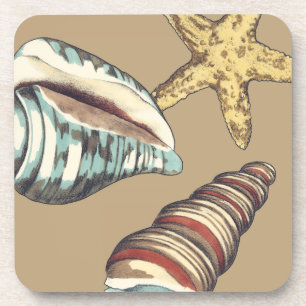 Dessous-de-verre Trio de Shell sur kaki