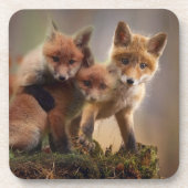Dessous-de-verre Triplets Foxy (Devant)