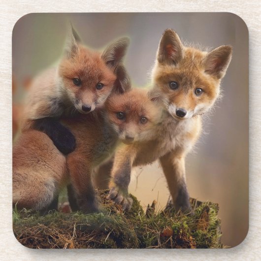 Dessous-de-verre Triplets Foxy (Devant)