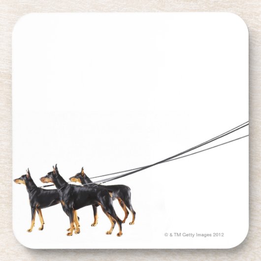 Dessous-de-verre Trois dobermann sur la laisse (Devant)