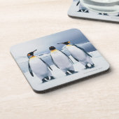 Dessous-de-verre Trois le Roi pingouins (Côté gauche)