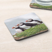 Dessous-de-verre Trois macareux (Côté gauche)