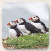 Dessous-de-verre Trois macareux (Devant)