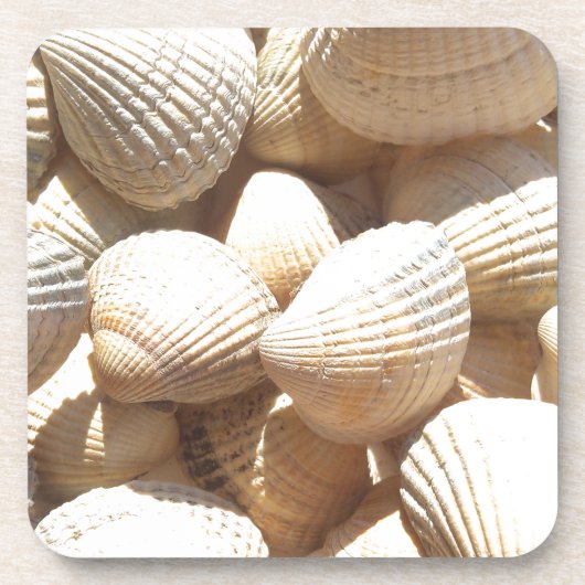 Dessous-de-verre Tropical Sunny Sea Shells (Devant)