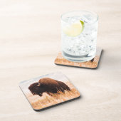 Dessous-de-verre Troupeau De Bison Américain (Bison Bison) À Teton (Côté Droit)