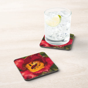 Dessous-de-verre Tuliforme rouge