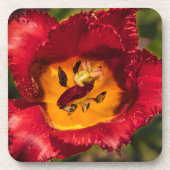 Dessous-de-verre Tuliforme rouge (Devant)