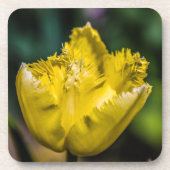 Dessous-de-verre Tulipe jaune (Devant)