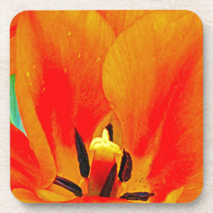 Dessous-de-verre Tulipe orange