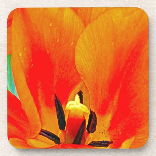 Dessous-de-verre Tulipe orange (Devant)