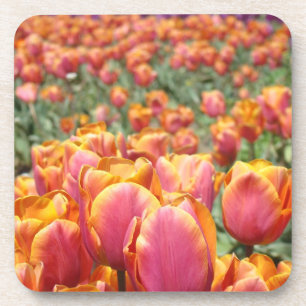 Dessous-de-verre Tulipes de printemps sous-verre en liège Fleurs ro